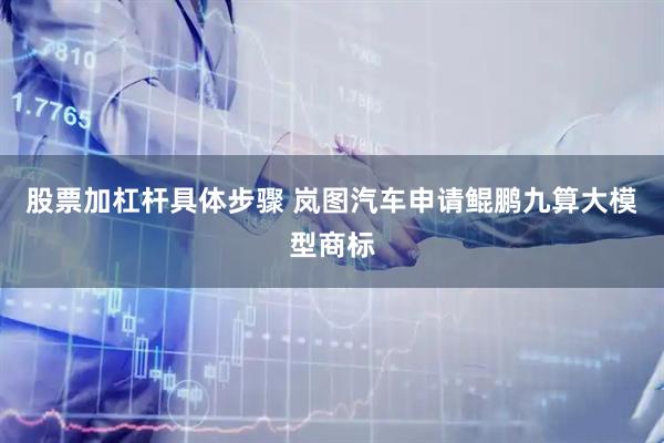 股票加杠杆具体步骤 岚图汽车申请鲲鹏九算大模型商标